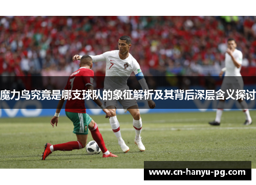 魔力鸟究竟是哪支球队的象征解析及其背后深层含义探讨